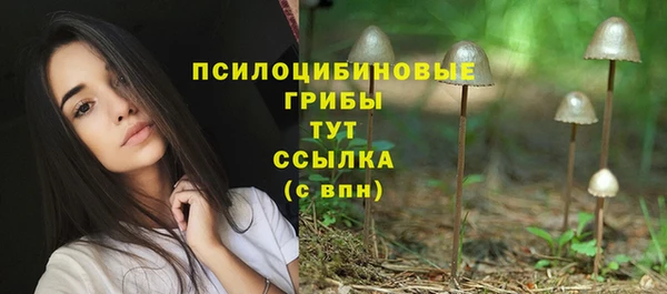 трава Гусь-Хрустальный