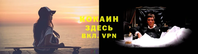 трава Гусь-Хрустальный
