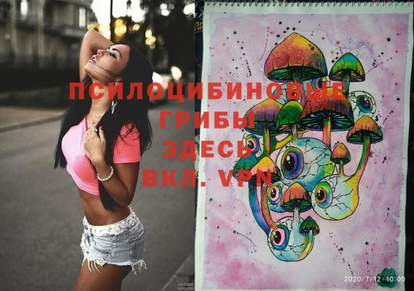 первитин Гусев
