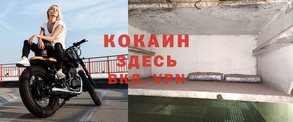 первитин Гусев
