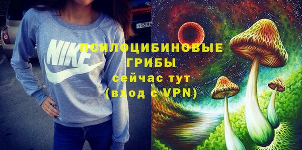 первитин Гусев