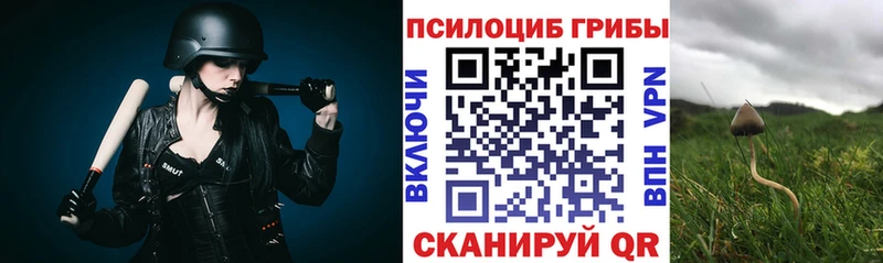 Галлюциногенные грибы Psilocybe  как найти закладки  Урюпинск 